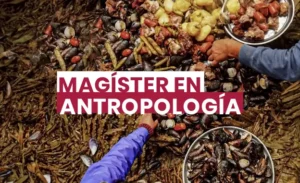 Magister en Antropologia